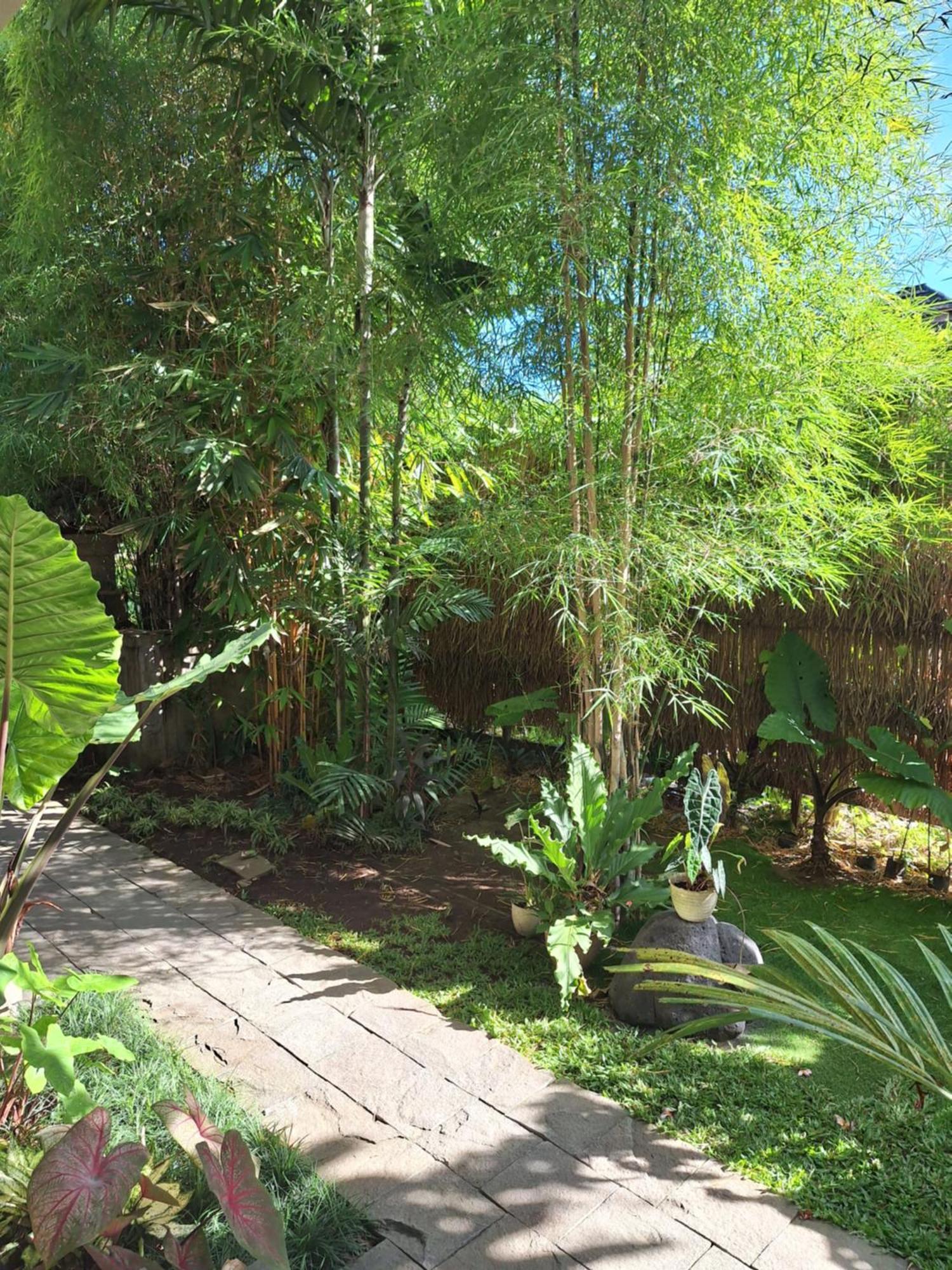 Kasapa Inn Ubud  Ngoại thất bức ảnh
