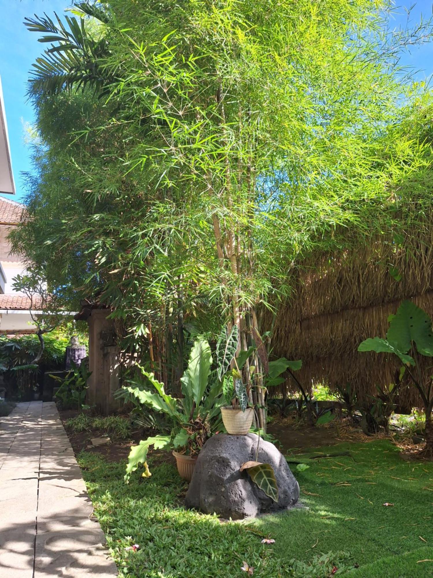 Kasapa Inn Ubud  Ngoại thất bức ảnh
