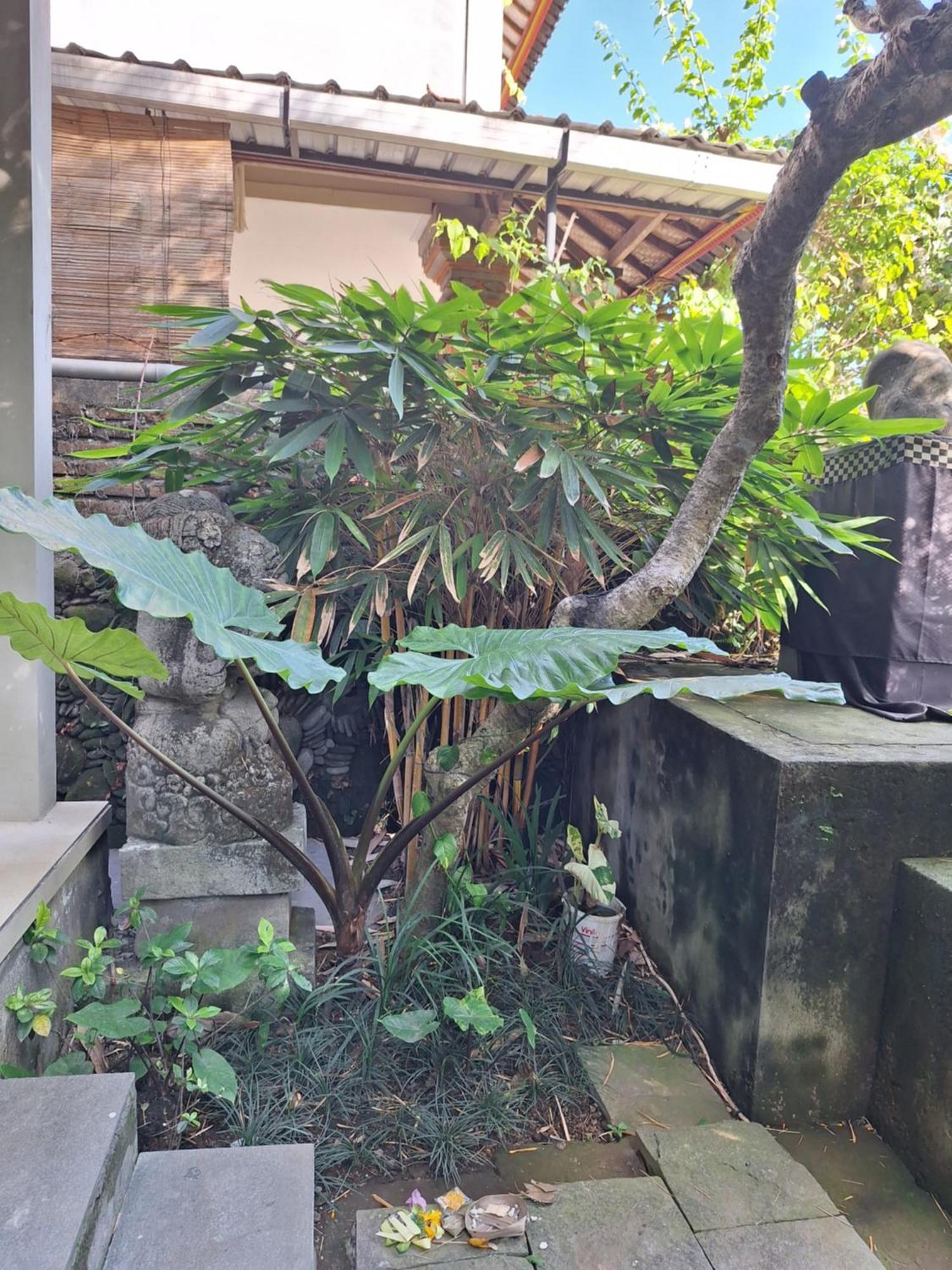 Kasapa Inn Ubud  Ngoại thất bức ảnh