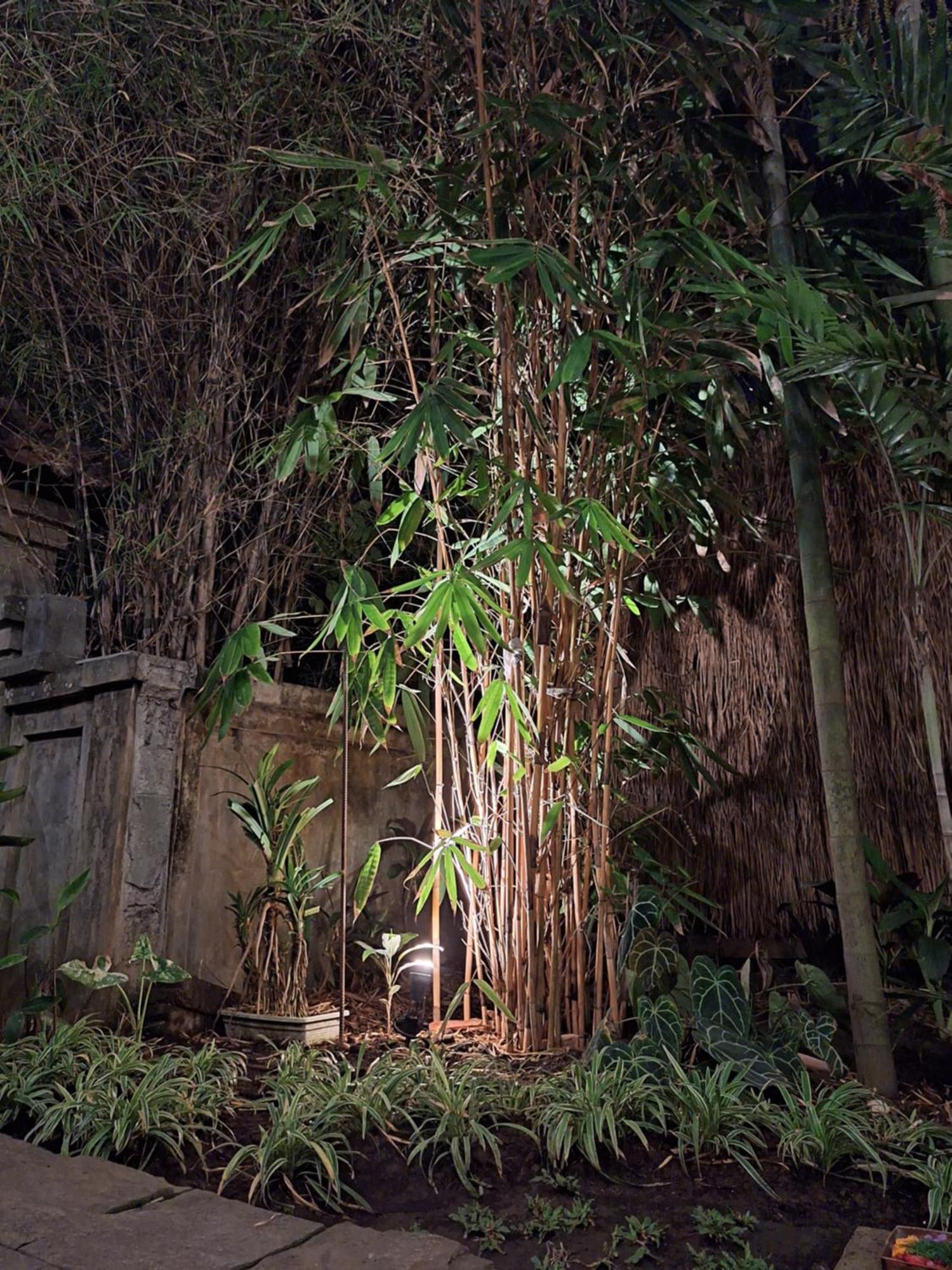 Kasapa Inn Ubud  Ngoại thất bức ảnh